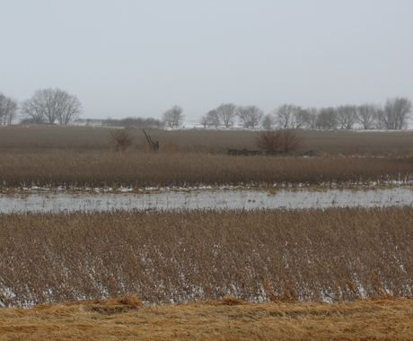 Flooded and snowy field
