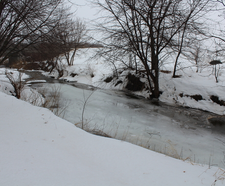 Stream in winter