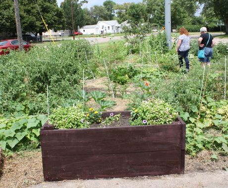 community garden