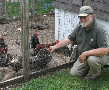 Man near chickens