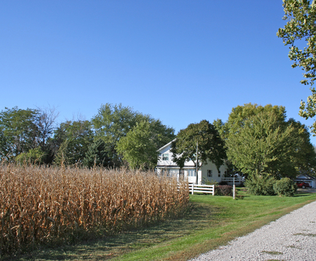 Rural home with corn field in front
