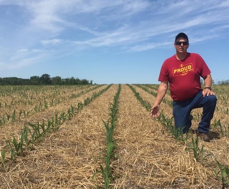 Man in field with cover crops