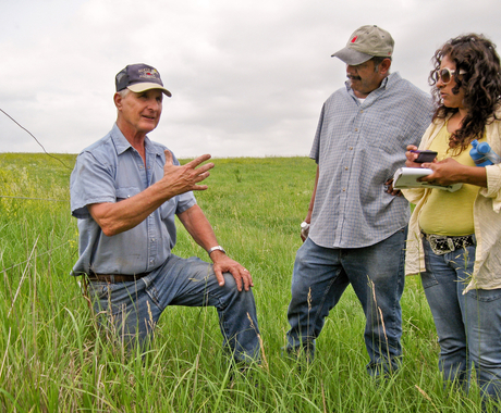 Man on one knee in a grass field, with a man and woman listening to him speak