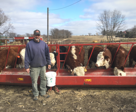 Man standing with cows