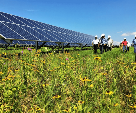 People walking by large solar panels