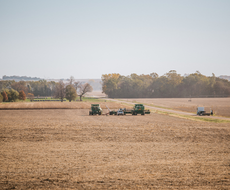 Field during harvest