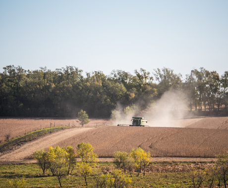 Harvest by combine