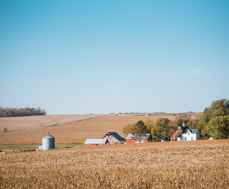 Field after harvest