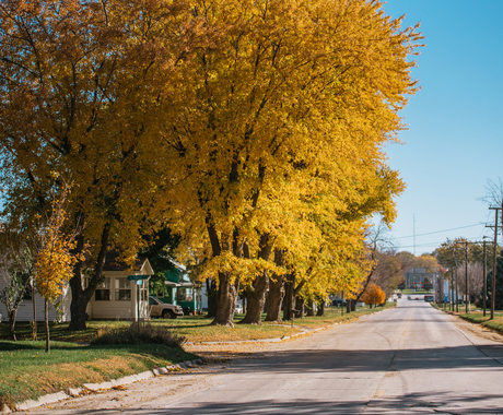 Rural community