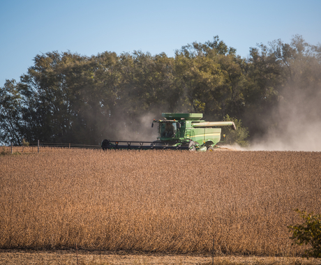 combine harvesting