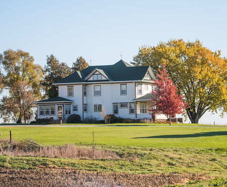 house surrounded by trees