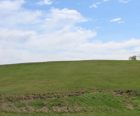 Pasture 