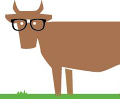 Cow graphic