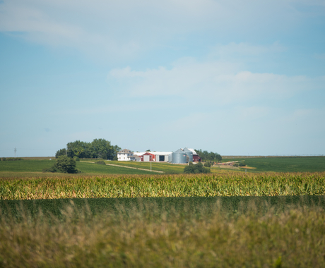 Rural home with corn field in front