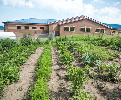 community garden