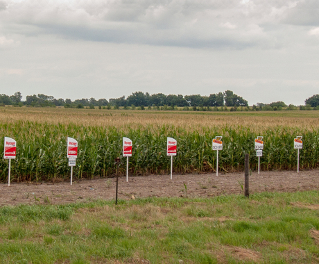 Seed signs next to field