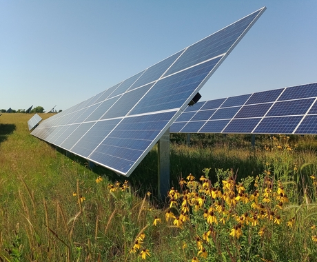 Two long solar panels in a field with yellow coneflowers and other native grasses under a blue sky
