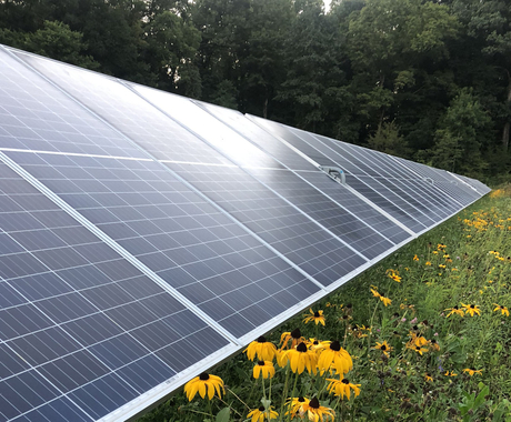 pollinator-friendly solar field 