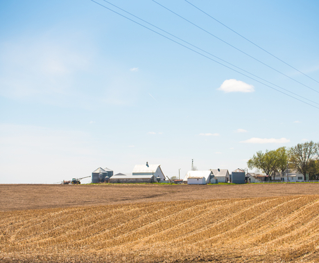 Field after harvest