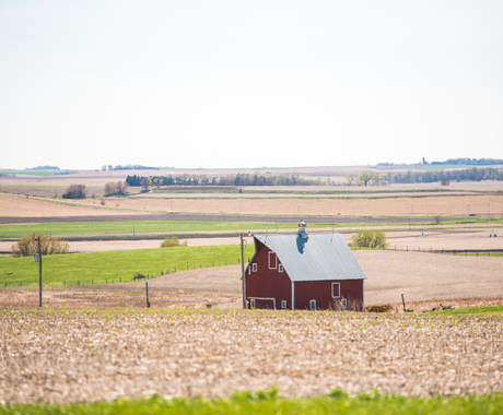 Barn near field