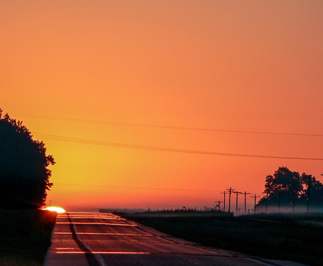 Rural scene at sunset