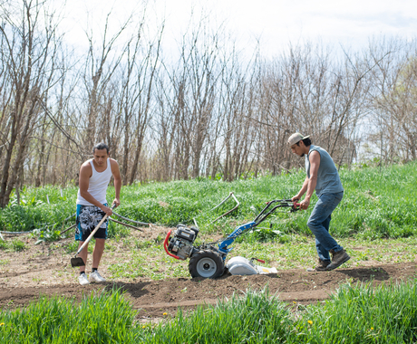 Two Native American men working on a garden. One wearing a white tank top and holding a garden hoe. The other with a backwards ball cap and blue tank top pushing a tiller.