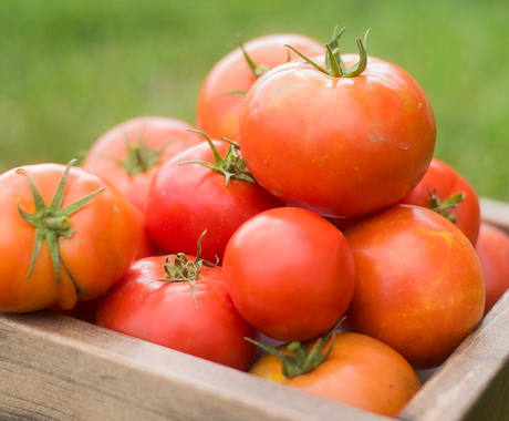 Tomatoes in a box