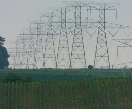 Una línea de transmisión de energía se encuentra junto a un campo de maíz en una colina. 