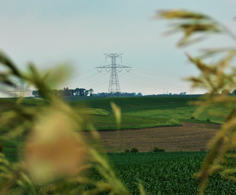 Transmission, conservation 