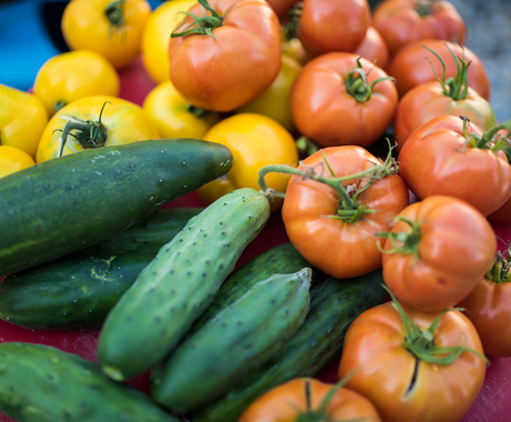 A pile of veggies on a table including green cucumbers and yellow and red tomatoes