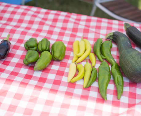 Vegetables on a farmers market table