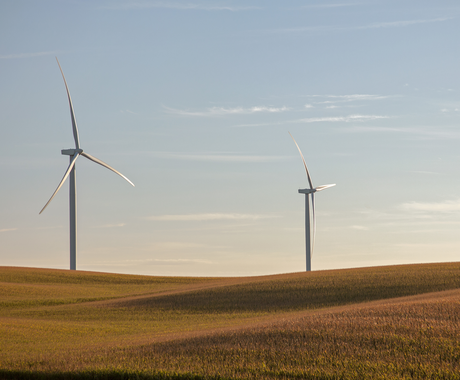Two wind turbines stand tall against a clear sky over gently rolling fields of crops, with long shadows stretching across the landscape in the warm, late afternoon light.