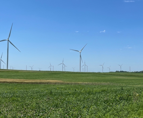wind turbines in a farm field with crops in the foreground.