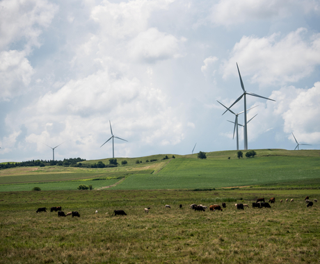 Wind Turbines - Crofton