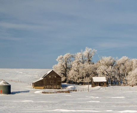 Winter scene at farm
