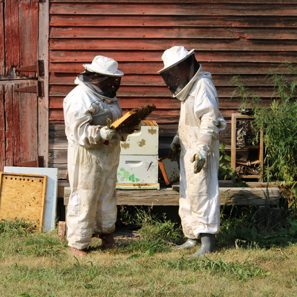 beekeepers in full suits