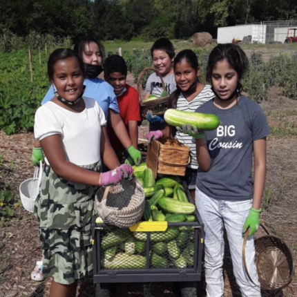 A group of Native American elementary students gathered around a wagon full of cucumbers, with the front girl holding up a cucumber