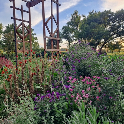 Una variedad de flores silvestres de diferentes colores crecen alrededor de una estructura de sendero debajo de un cielo azul con algunas nubes