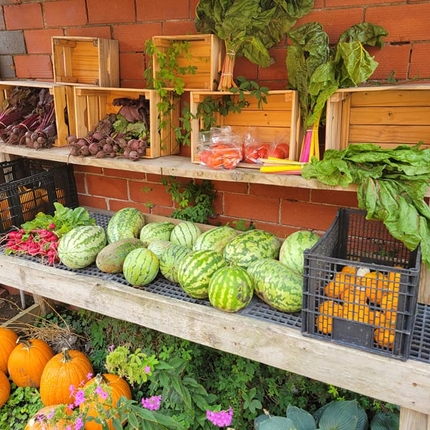 A varierty of vegetables and fruit sit on shelves against a red brick wall