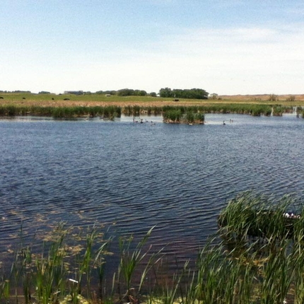 Water behind water control structure
