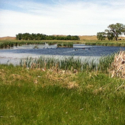 Sandhills conservation with a water source