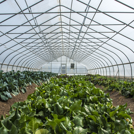A high tunnel protects crops 