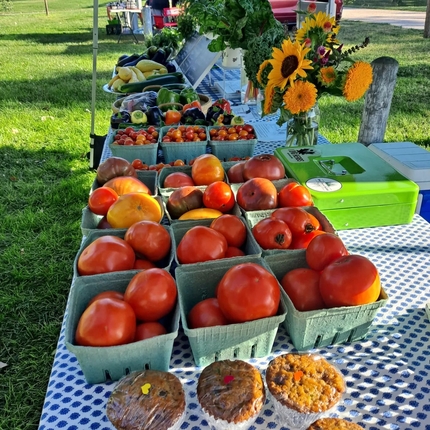 Una variedad de grandes tomates rojos en cestas verdes están alineados encima de una mesa con un mantel azul y blanco, algunas flores de color naranja se encuentran en un jarrón en la esquina superior derecha junto a una caja de dinero verde claro.