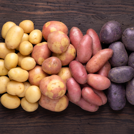A variety of potatoes that are yellow, red and purple in colore are layed out on a wooden background. Photo credit: photka - stock.adobe.com