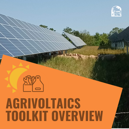 A photo of solar panels with long grass and sheep beneath the panels. An orange box with brown letters on the bottom says, Agrivoltaics Toolkit Overview.