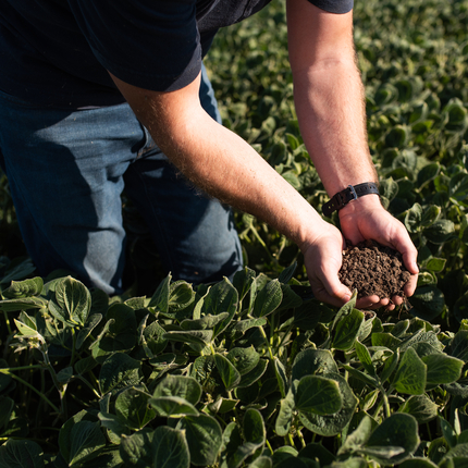 Hombre arrodillado en un campo, con las manos juntas, lleno de tierra sana. El campo está lleno de plantas verdes sanas.