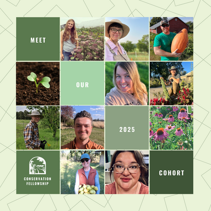 Anuncio gráfico en cuadrícula que presenta la cohorte 2025 de la Beca de Conservación. El diseño presenta 12 secciones cuadradas dispuestas en una cuadrícula de 4x4 con fotos alternadas y bloques de texto verdes. Las fotos incluyen becarios sonrientes en entornos al aire libre y agrícolas, flores, un brote de plántula y el logotipo de la Beca de Conservación. Los bloques de texto dicen "CONOZCA A NUESTRA COHORTE 2025". El fondo es verde pálido con un sutil patrón de líneas.