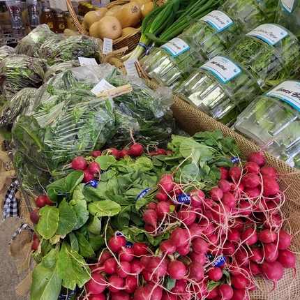A table in a store with a pile of radishes and fresh greens behind it. 