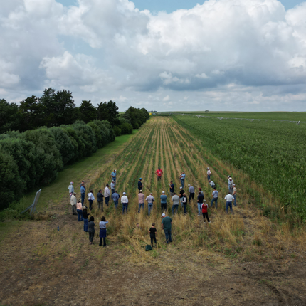 Vista aérea de un grupo de personas de pie en un campo. 