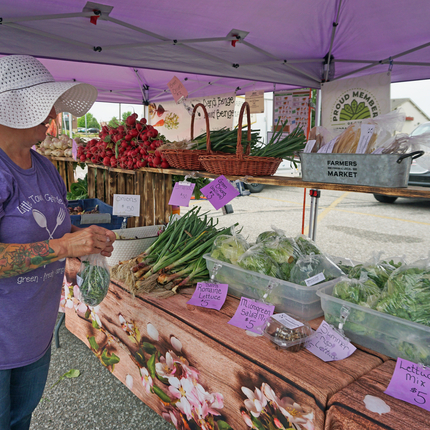 Mujer con camiseta morada y sombrero blanco flexible empacando judías verdes mientras mira una hilera de verduras en un puesto del mercado de agricultores